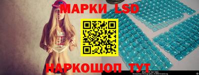 a pvp Новозыбков