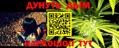 a pvp Новозыбков