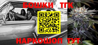 a pvp Новозыбков