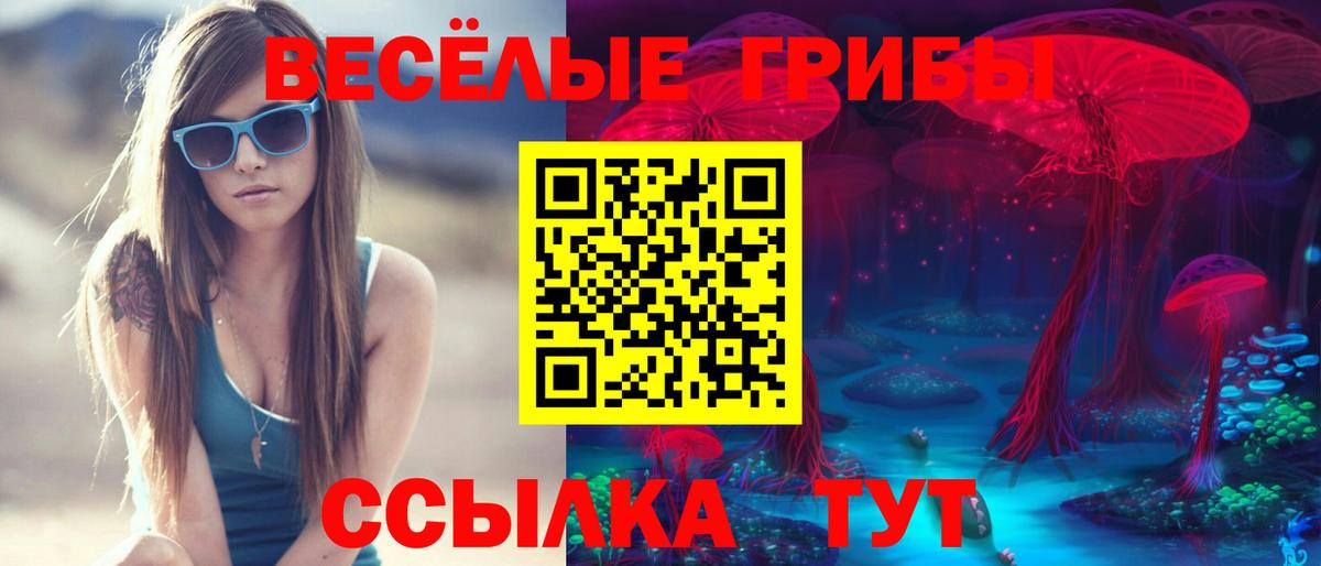 Псилоцибиновые грибы Psilocybe Саратов